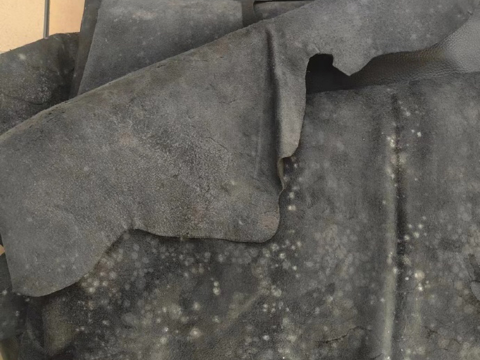皮